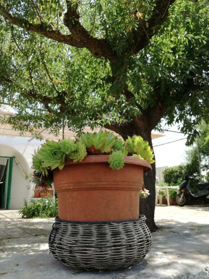 Vila Sor Luca Martina Franca Exteriér fotografie